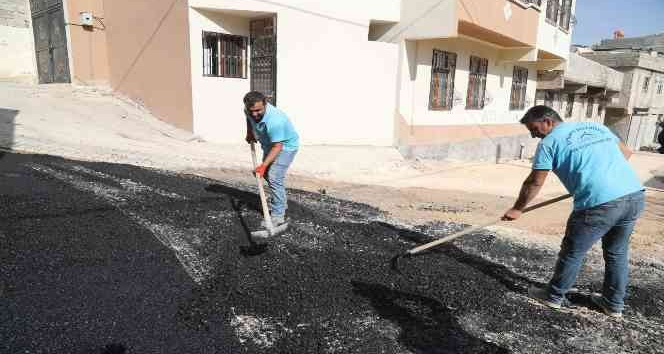 Eyyübiye'de caddeler asfaltlanıyor;