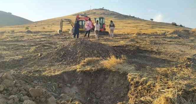 Şanlıurfa'ya Yeni Orman 63 bin fidanla Yeşil Urfa;