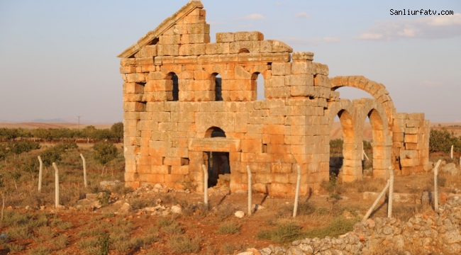 Şanlıurfa'da Tarihi Kilise Restorasyonu Bekliyor
