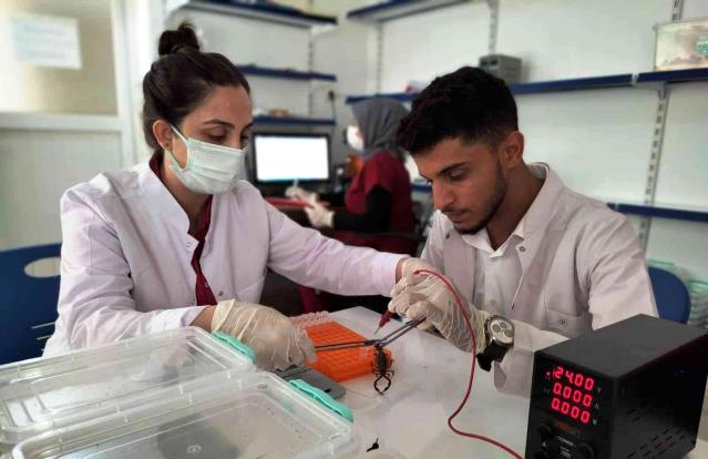 Şanlıurfa'dan ABD'ye 10 milyon dolarlık zehir ihracatı;