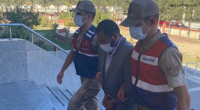 Urfa Viranşehir'de Terör Örgütü Üyesi Yakalandı