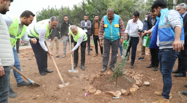 Eyyübiye'de Yeşil Okullar Projesiyle Ağaçlandırma Seferberliği;