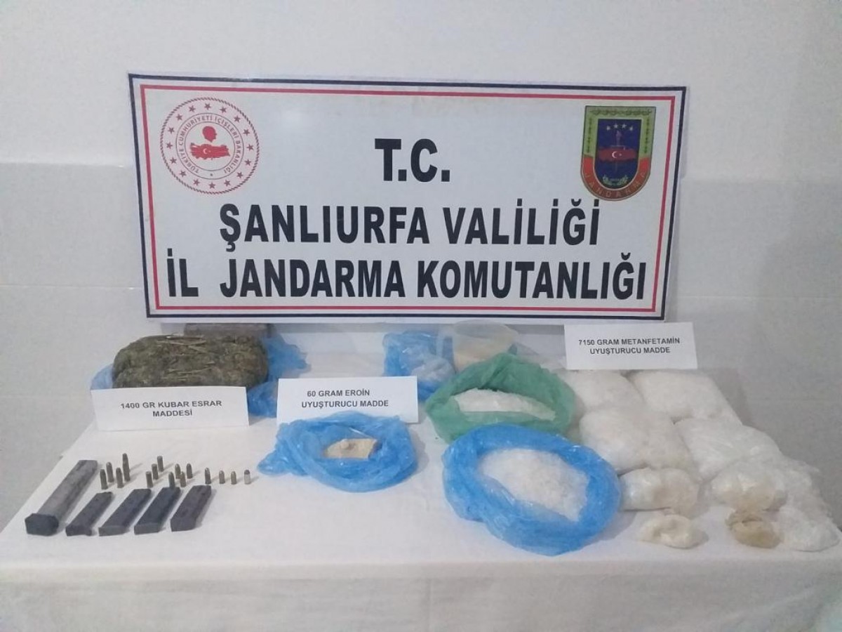 Suruç'ta dev operasyon;