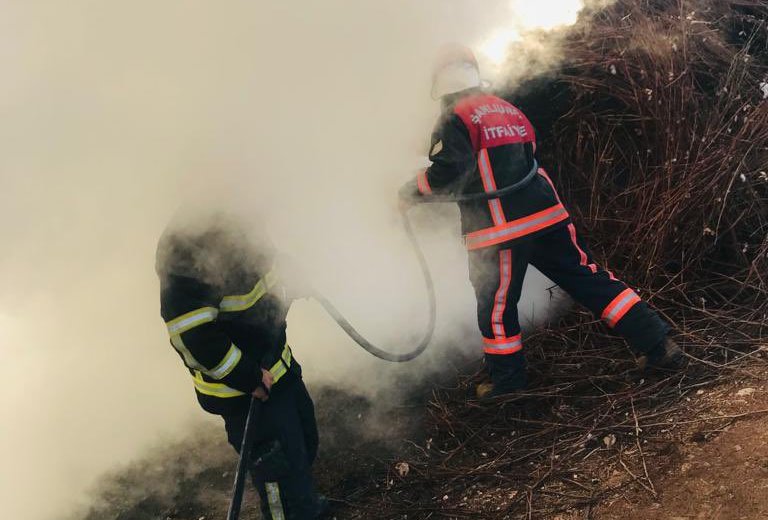 Akçakale’de odunluk alanda yangın çıktı;