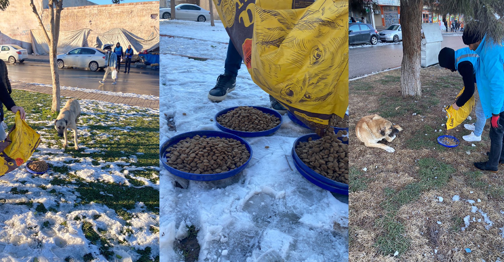 Eyyübiye Belediyesi ‘can dostları’ unutmadı;