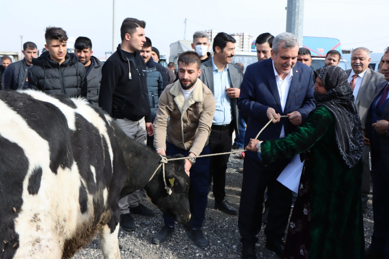 Büyükşehir’den hayvancılığa destek;