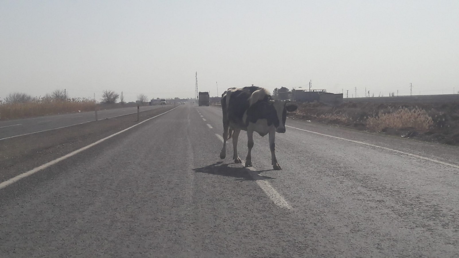 Trafikte tehlike oluşturdu;