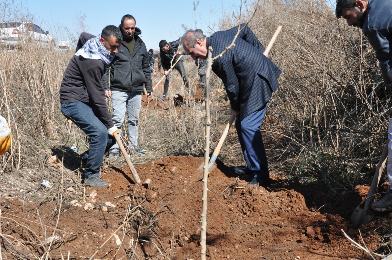 Yalçınkaya: 1 milyona yakın ağacı toprakla buluşturduk;