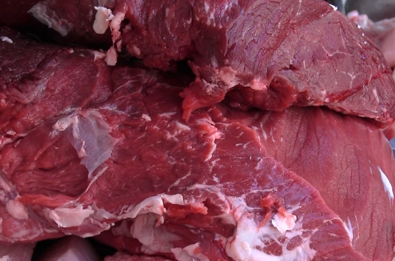 Kırmızı et ihracatına yasak!;