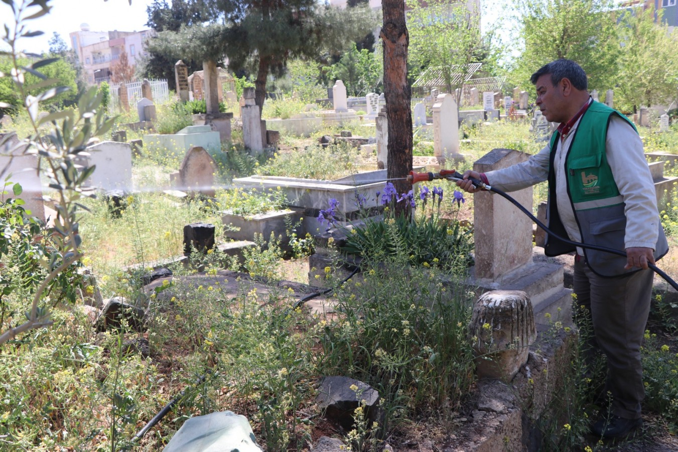 Viranşehir’de bayram öncesi mezarlıklar temizleniyor;