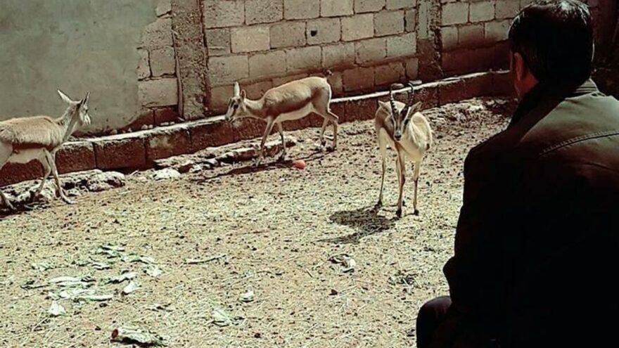 Mahmut Tanal TİGEM’e yüklenmeye devam ediyor;