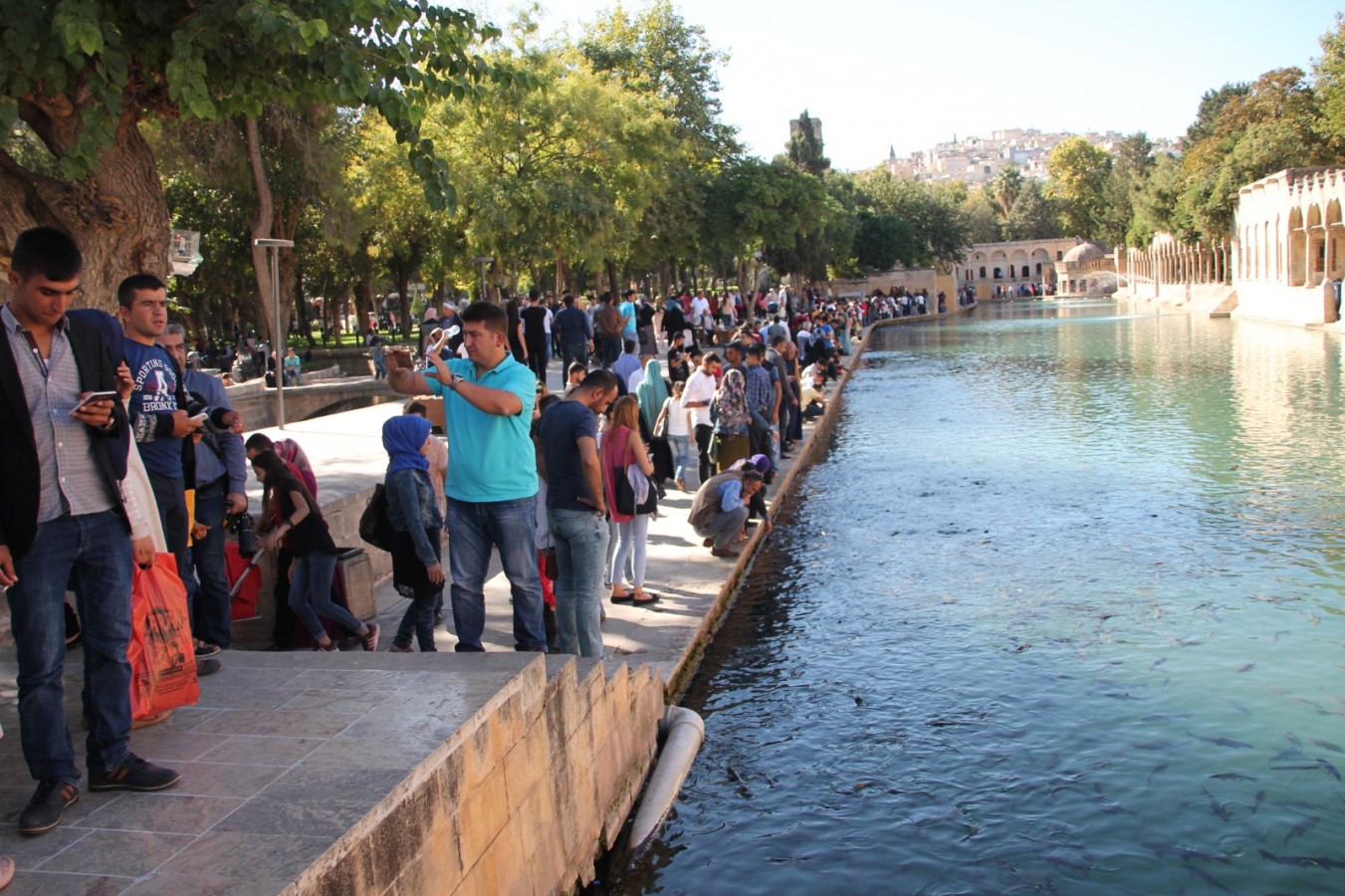 Veriler açıklandı, Şanlıurfa 2’nci sırada;