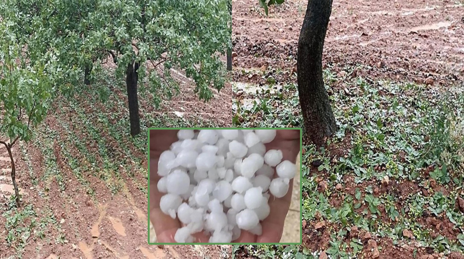 Halfeti’de sağanak ve dolu sonrası tarlalarda hasar tespiti yapılacak;