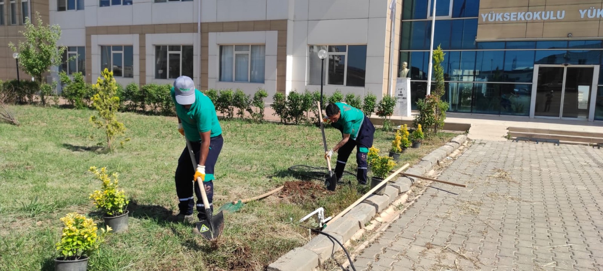 Viranşehir Belediyesi’nden üniversiteye peyzaj çalışması;