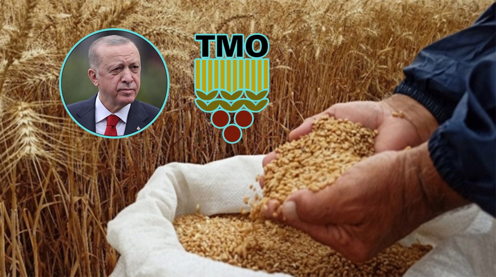 Erdoğan buğday ve arpa fiyatlarını açıkladı;