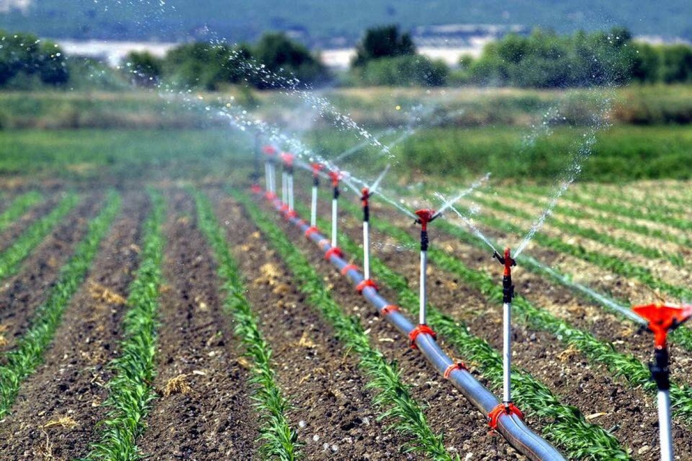 Tarımsal girdi fiyat endeksi istatistikleri açıklandı;