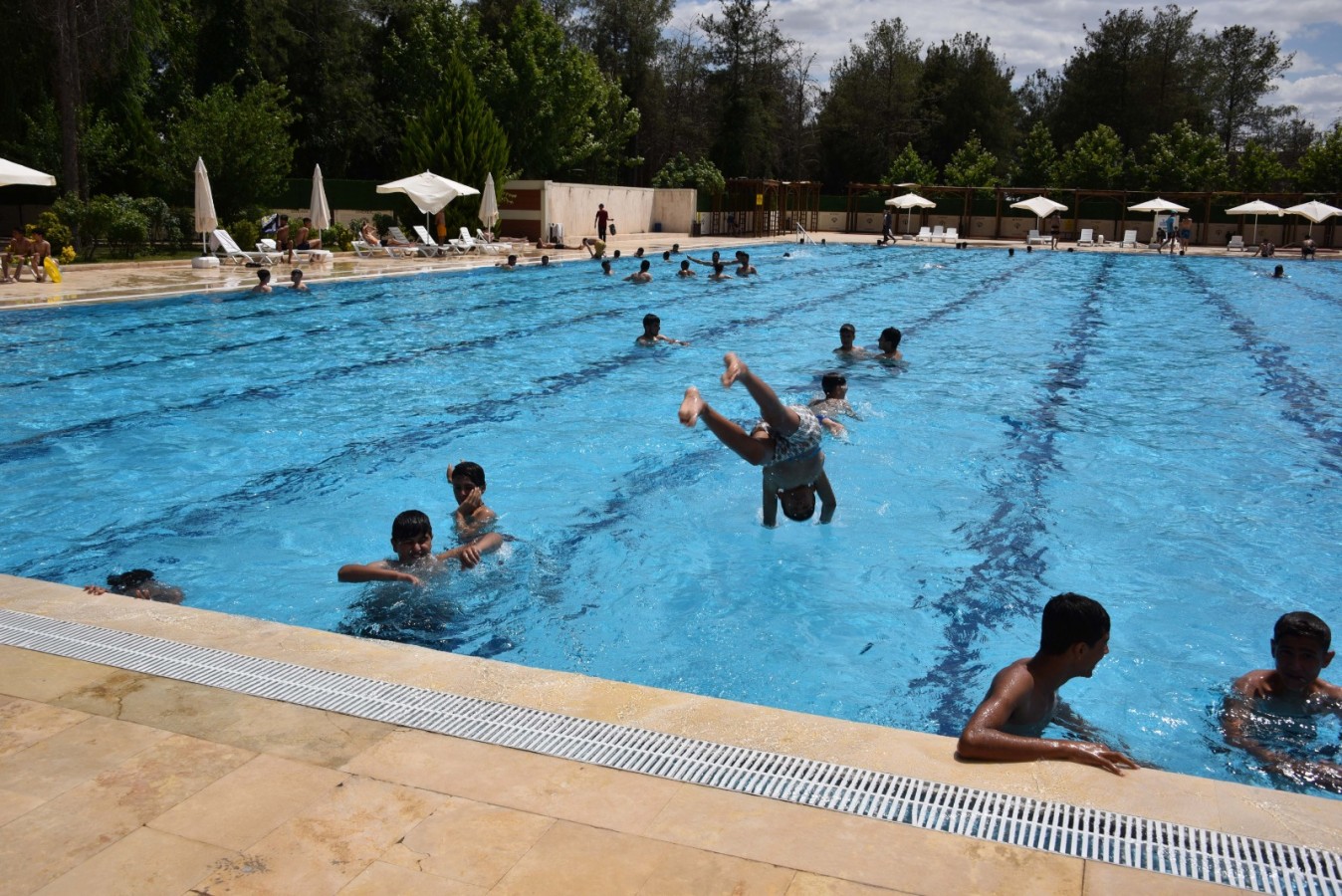 Siverek sıcağında olimpik havuzda serinliyorlar;