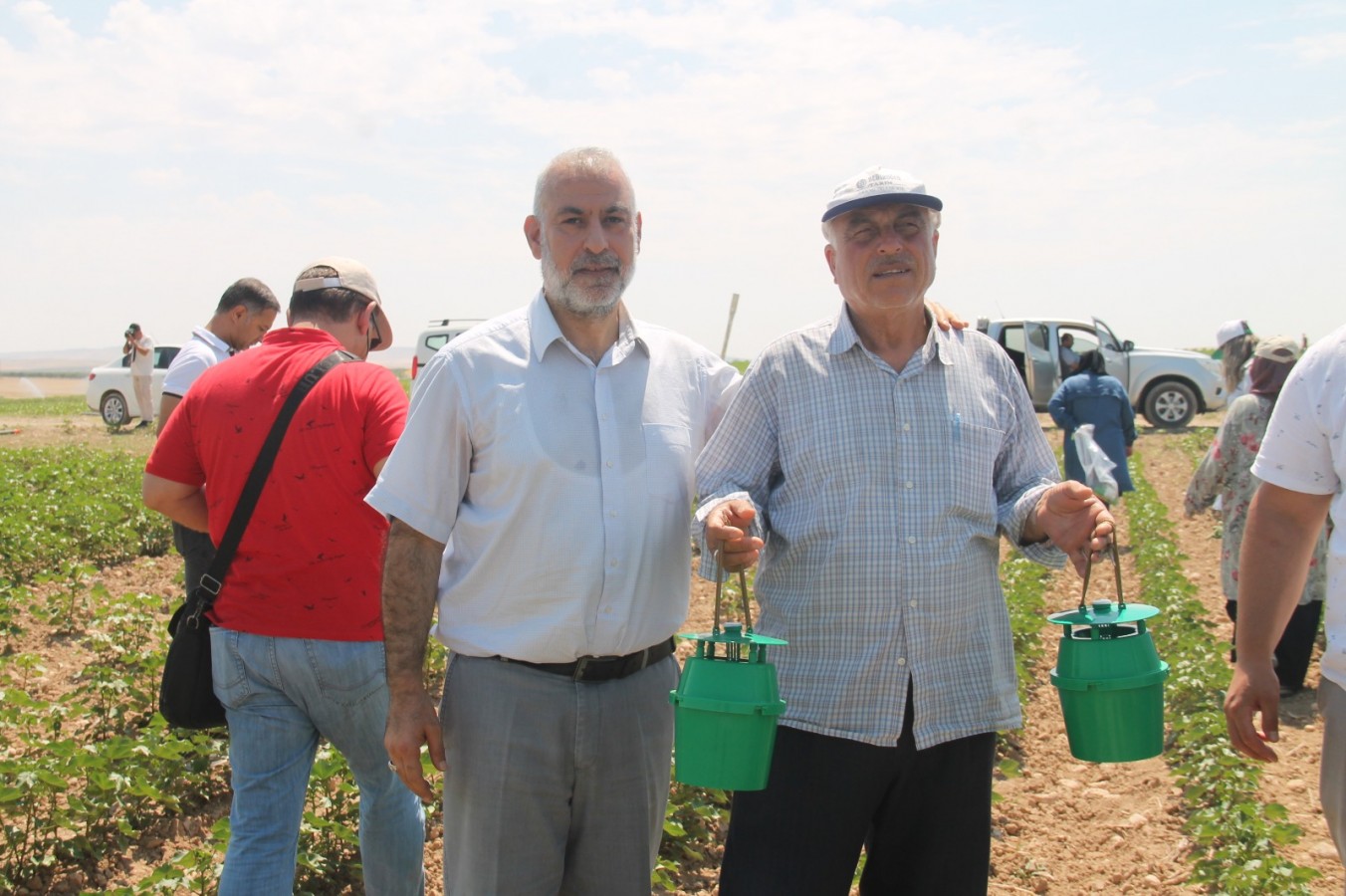 Karaköprü’de pamukta verimi düşüren zararlı böceklere karşı "feromon tuzağı";