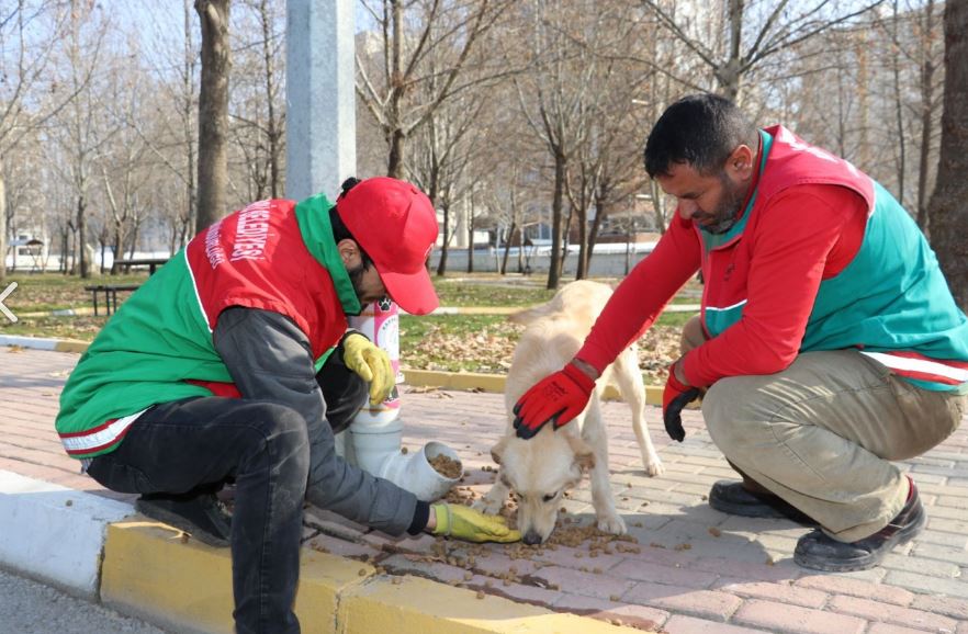 Karaköprü'de Sokak Hayvanları Aç Bırakılmıyor;