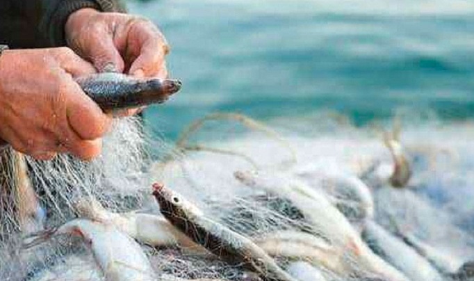 Şanlıurfa'da Balıkçılıkla İlgili Destek Verilecek Başvuru tarihi açıklandı