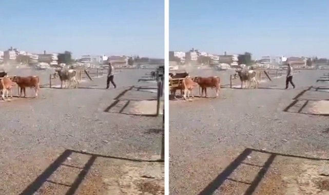 Urfa'da Silahlı Kavganın Kamera Görüntüleri;