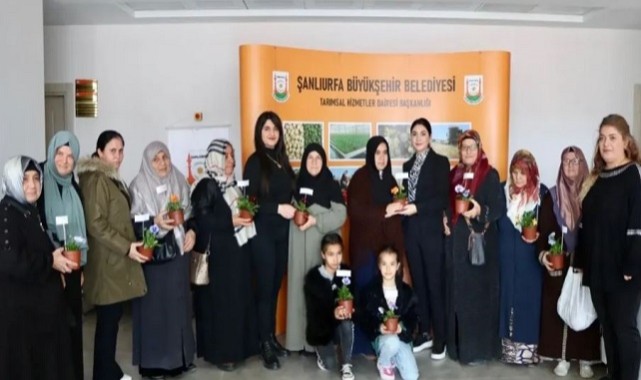 Urfa'da Emeklilere Süs Bitkisi Yetiştiriciliği Eğitimi