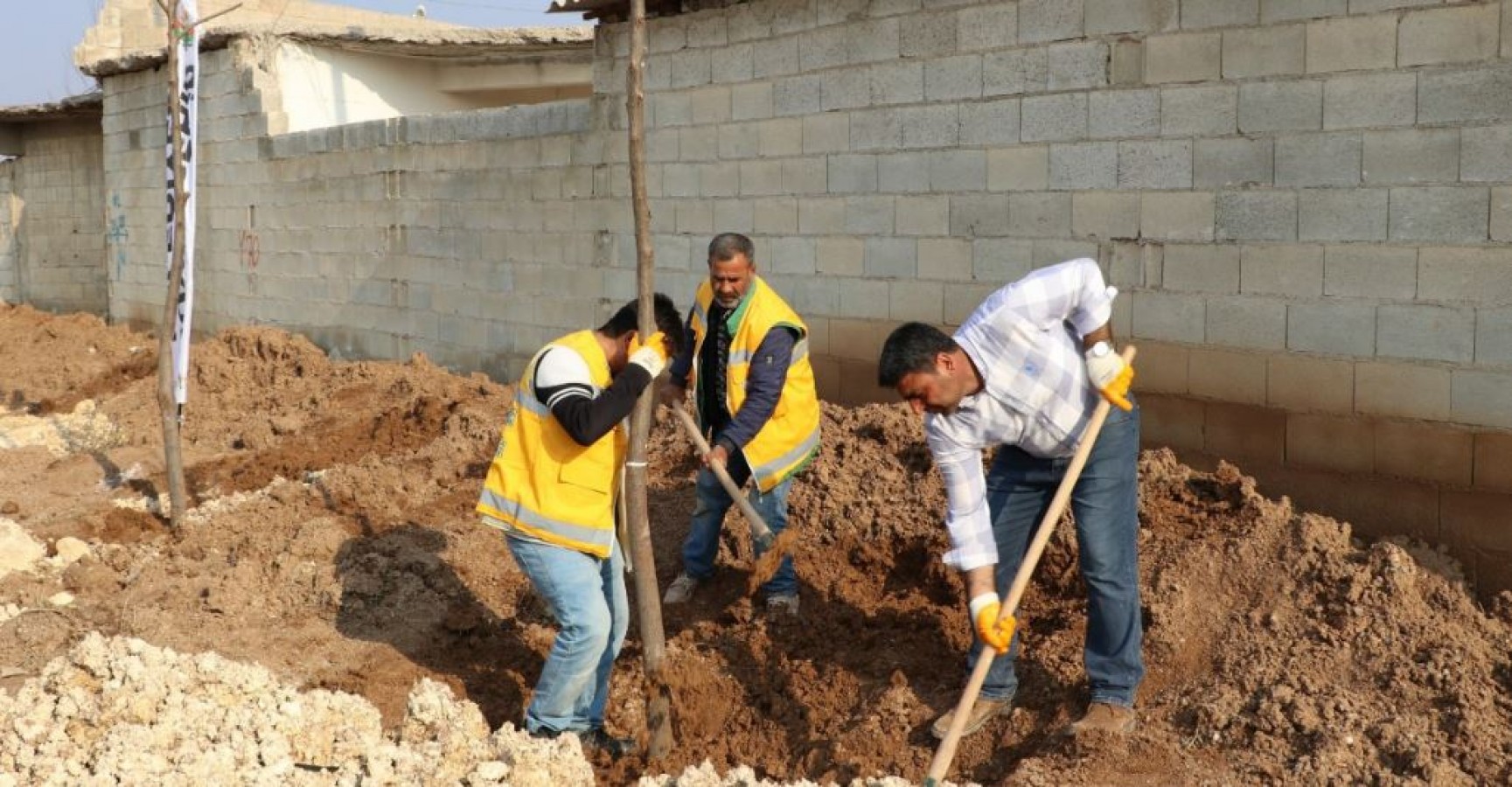 Urfa Büyükşehir'den Ağaçlandırma Çalışması;