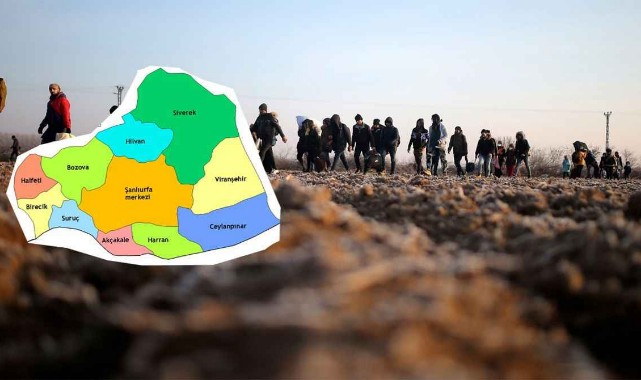 Şanlıurfa'da Kaç Suriyeli Var