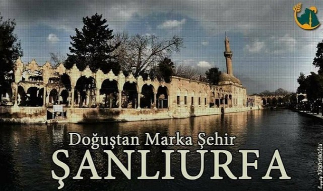 Şanlıurfa Türkiye'de Sıralamasında.. 618 Kişi Başvuruda Bulundu;