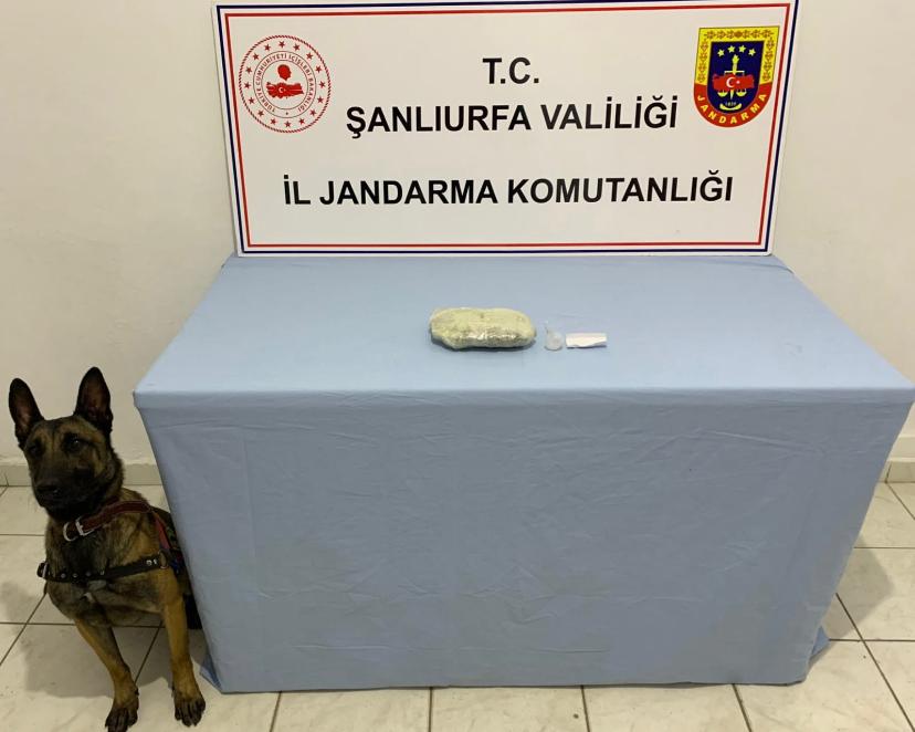 Jandarma'dan Urfa'nın iki İlçesinde Uyuşturucu Operasyonu;